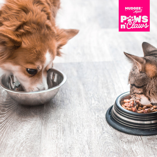 Surf & Turf Pet Mince