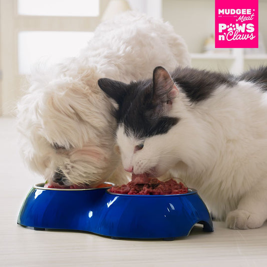 Traditional Pet Mince