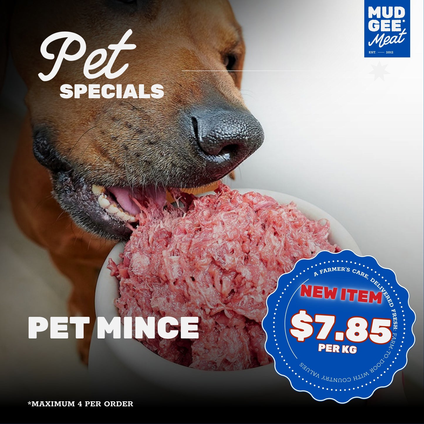 Pet Mince
