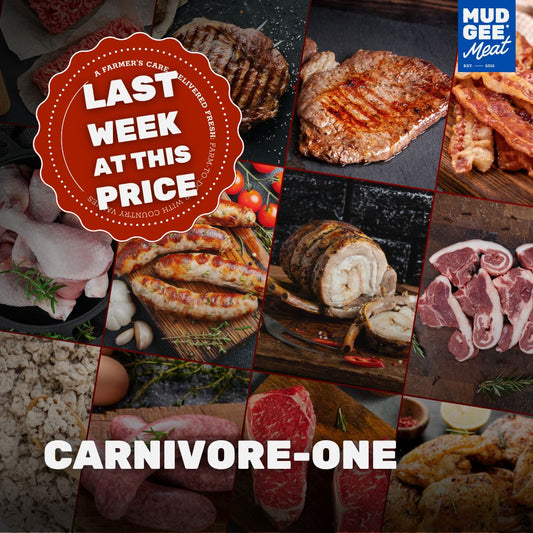 Carnivore-ONE
